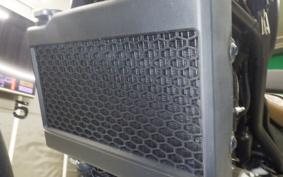 HONDA REBEL 250 S 2025 MC49