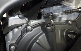 KAWASAKI ZX-4RR 2024 ZX400P