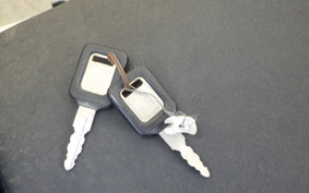 KAWASAKI ZXR250 Gen.2 2022 ZX250C