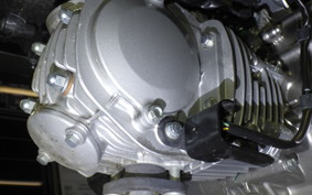 HONDA MONKEY 125 2024 JB05