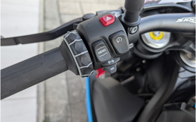 BMW S1000R 2025 0P31