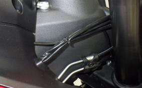 DUCATI 959 PANIGALE 2020