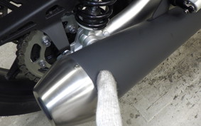 TRIUMPH SPEED TWIN 900 2025