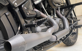 HARLEY FXFBS 2019 YLK