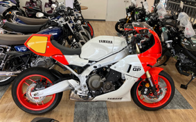 YAMAHA XSR900 GP 2025 RN96J