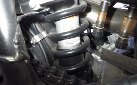 KAWASAKI SUPER SHERPA KL250G