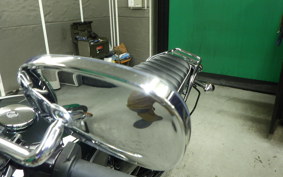 KAWASAKI W800 2021 EJ800B