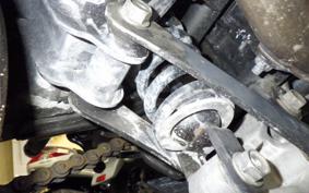 KAWASAKI NINJA 250 EX250L