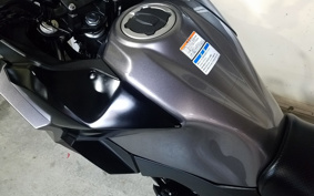 KAWASAKI VERSYS-X 250 LE250D