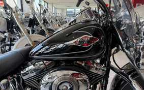 HARLEY HARLEY FLSTC 2012 BW5