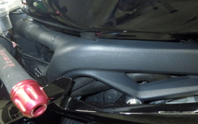 TRIUMPH DAYTONA 675 2009