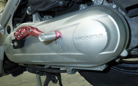HONDA ZOOMER 2025 AF58