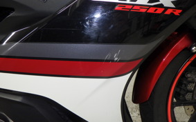 SUZUKI GSX250R 2024