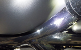 HARLEY RH975S 2025