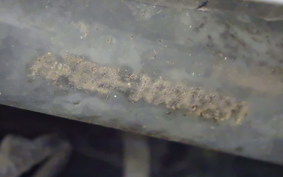 HONDA DIO Gen.6 AF62