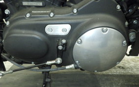 OTHER +HD. XL1200X 2014