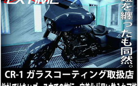 KAWASAKI ZRX400 ZR400E