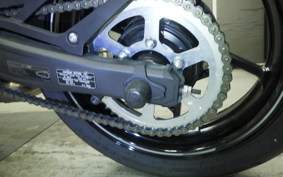 KAWASAKI ZX-4R SE 2024 ZX400P