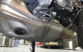 YAMAHA XSR900 GP 2024 RN96J