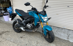 KAWASAKI Z125 PRO BR125H