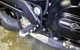 HARLEY X500 2024