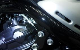 KAWASAKI Z900RS 2023 ZR900K