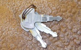 HONDA LITTLE CUB 2018 C50