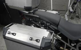 TRIUMPH TIGER 800 2019