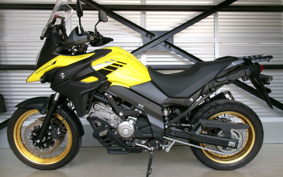 SUZUKI DL650 ( V-Strom 650 ) 2020 C733A