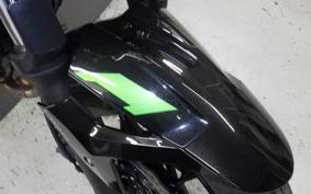 KAWASAKI Z250 Gen.2 2024 EX250Y