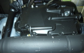 HONDA REBEL 1100 DCT 2025