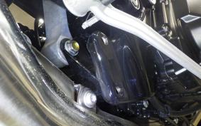 KAWASAKI Z900RS 2024 ZR900K