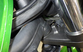 KAWASAKI ZRX1200 D 2013 ZRT20D