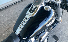 HARLEY FLFBS 2022 YGK