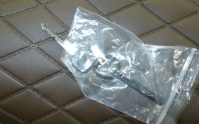 HONDA REBEL 250 S 2004 MC49