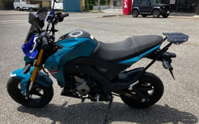 KAWASAKI Z125 PRO BR125H