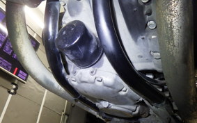 KAWASAKI W800 CAFE 2020 EJ800B