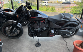 HARLEY FXDR114 2019 YVK