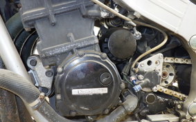 KAWASAKI ZX 10 NINJA 1989 ZXT00B