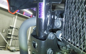 SUZUKI Vｽﾄﾛｰﾑ250SX 2025 EL11L