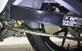 SUZUKI GSX-R125 2007 DL33B