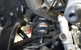 YAMAHA WR250X 2024 DG15J