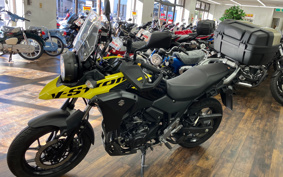 SUZUKI STROM 250ABS DS11A