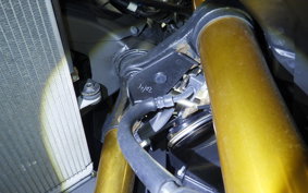 YAMAHA YZF-R25 RG43J