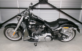 HARLEY FLFBS 2025 YGK