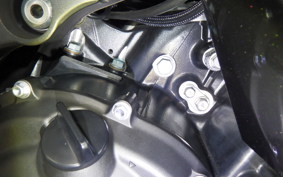 KAWASAKI ZX 1400 NINJA R A 2020