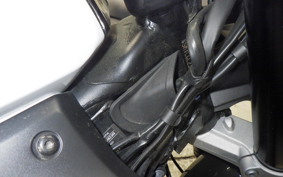 TRIUMPH DAYTONA660 2024