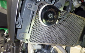 SUZUKI V-STROM 250 A 2002