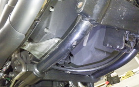 HARLEY FXDX 1450 1999
