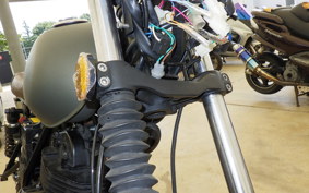 OTHER MUTT250